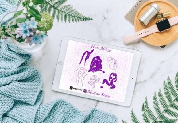15 Line Art Matisse for Procreate V 11: A Practical Evaluation
