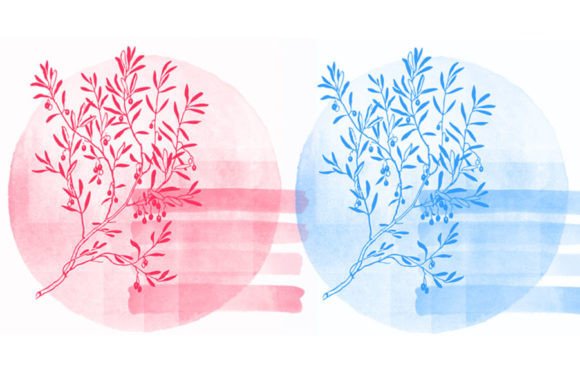 Bunch Brush: Elevate Your Design Workflow