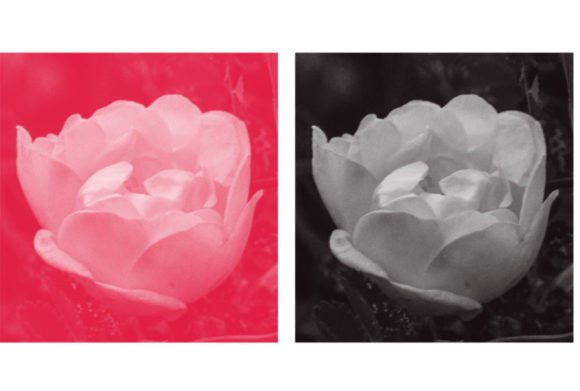 Mastering Texture With Brush 42